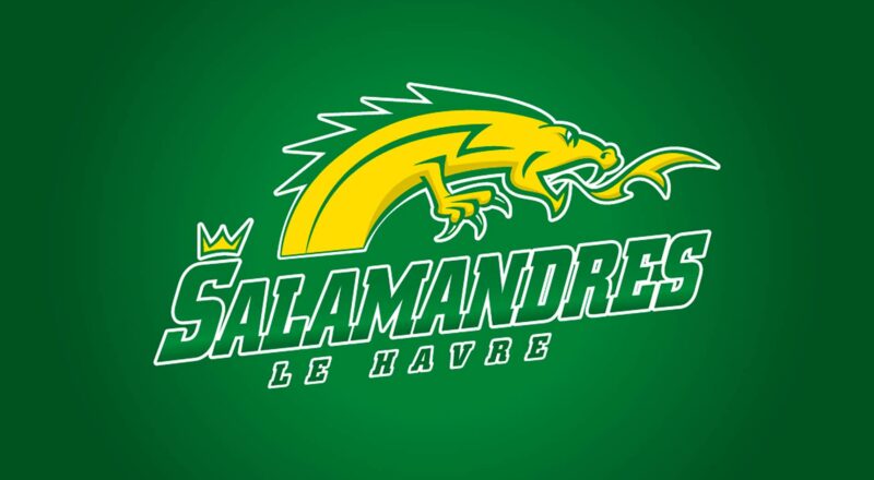 Christine Boisse Graphiste Promotion Sportive