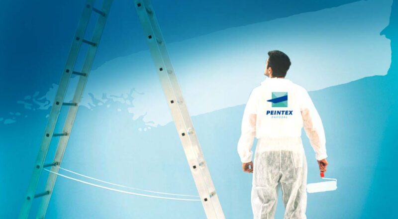 Christine Boisse Graphiste Image de Marque Peintex